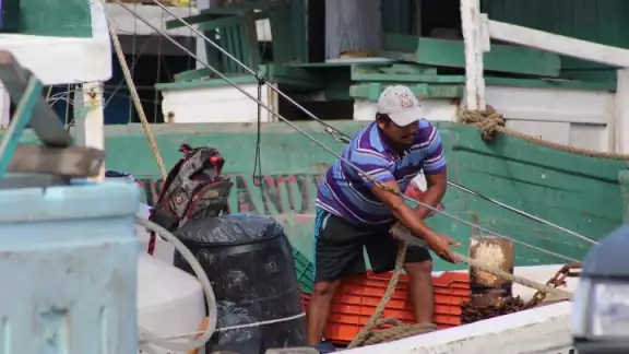 Empresarios temen que ante la cercanía de la veda del mero y otras escamas, los índices de delincuencia aumenten Empresarios temen que ante la cercanía de la veda del mero y otras escamas, los índices de delincuencia aumenten