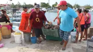 Piden 'mano dura' para la captura del crustáceo en veda, ya que pesca furtiva acaba con al especie