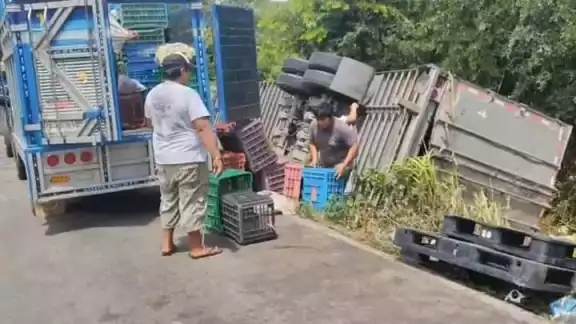 Las cervezas quedaron regadas fuera de la carretera