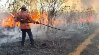 Se espera un aumento de incendios durante esta temporada