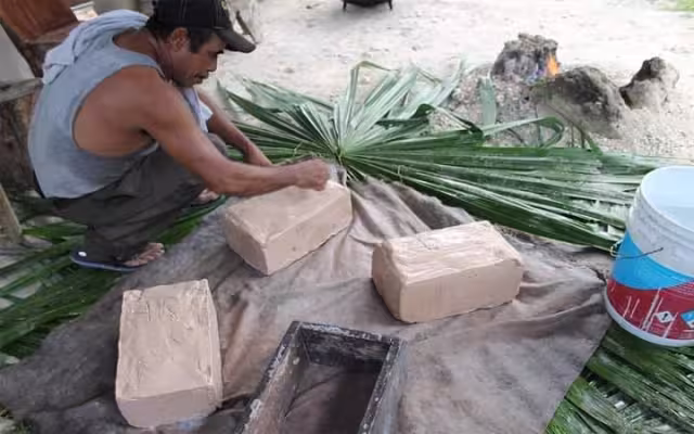 Comentaron que es más fácil obtener el permiso para la tala de árboles.