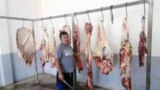 Los vendedores firman que en el rastro de Sabancuy se cuida que los animales estén en estado óptimo antes de matarlos