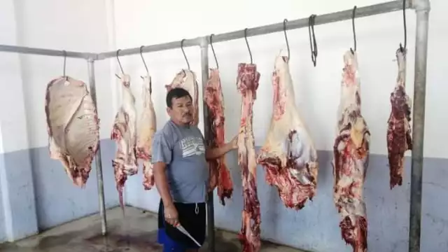 Los vendedores firman que en el rastro de Sabancuy se cuida que los animales estén en estado óptimo antes de matarlos