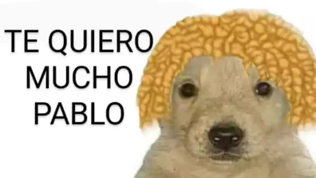 Pablo se lleva los mejores memes con su triunfo en Survivor México
