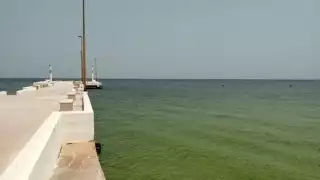 Foto: Alejandro Colli