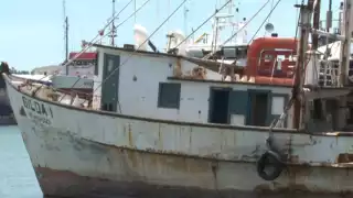 Camaroneros de Ciudad del Carmen enfrentan crisis sin apoyos ni subsidios