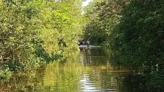 Lluvias dejan estragos en municipios de Yucatán; reportan inundaciones, árboles caídos y ausentismo escolar
