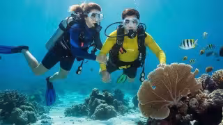 Denuncian daño a arrecifes de coral por buzos extranjeros en la Riviera Maya
