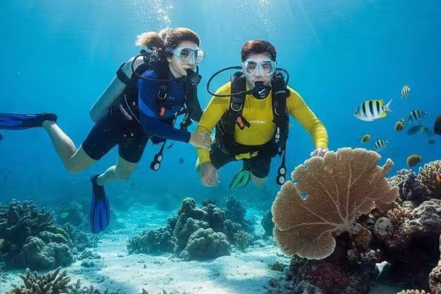 Prestadores turísticos y activistas piden a Profepa investigar daños en arrecifes de coral de la Riviera Maya