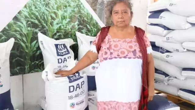 Más de 500 productores fueron beneficiados con fertilizantes en Yucatán