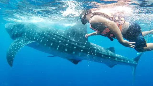 Prestadores de servicios movilizaron apenas 48 mil paseantes durante el ciclo pasado