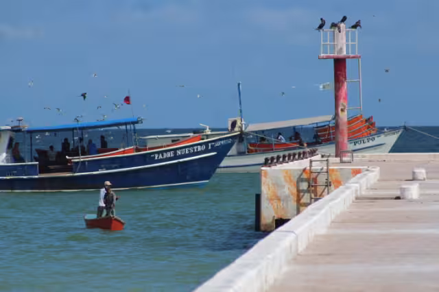 Más de 14 mil embarcaciones lidian con la escasez de hielo y de carnada en los puertos yucatecos