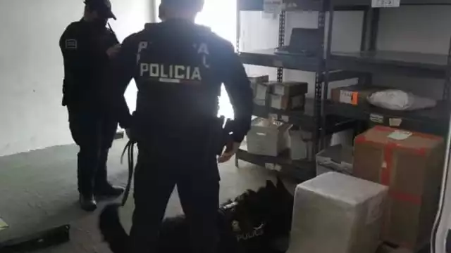 El elemento de cuatro patas, “Kano” detectó la caja con siete paquetes de droga