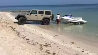 Vehículos continúan dañando los nidos de tortugas en Progreso