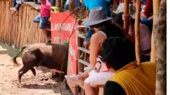 Jinetes salieron en su búsqueda y captura para regresarlo al establo Jinetes salieron en su búsqueda y captura para regresarlo al establo