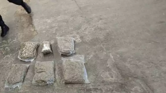 La droga se encontraba distribuida en cinco bolsas La droga se encontraba distribuida en cinco bolsas