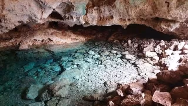El cenote fue descubierto hace nueve años sin embargo hasta ahora está tomando auge entre la población