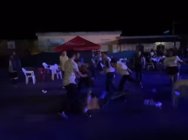 Una mujer intentó separarlos usando una madera