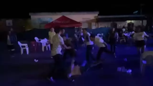 Una mujer intentó separarlos usando una madera