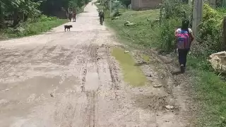 La familia requiere encontrar los culpables, ya que se trata de su patrimonio