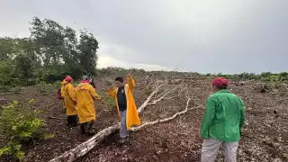 Región de La Montaña  en Hopelchén,  lleva más de 18 horas sin energía eléctrica