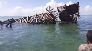 El mirador tenía una altura aproximada de 20 metros, lo que permitía vistas espectaculares y avistamientos de aves