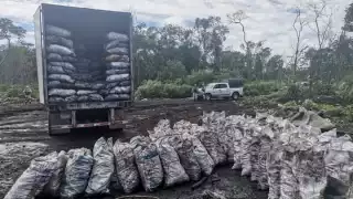 Durante el 2021 se decomisaron en total 51 hornos ilegales y 10 más en proceso de construcción