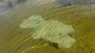 La laguna tiene aún restos de tierra y sedimentos