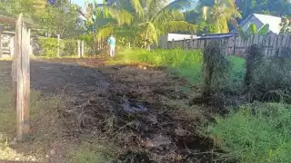 Se desconocen las causas del incendio