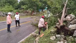 Hasta el momento, solo se han registrado daños materiales