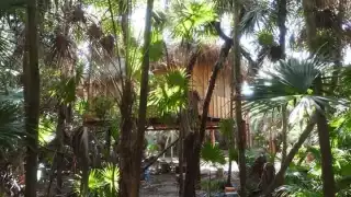 Citymar exige que se actúe pronto ante la violación de leyes