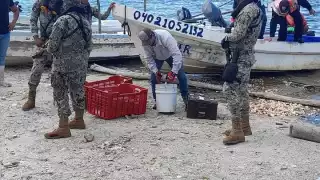 Semar detiene a pescadores de Champotón que capturaban pulpo con compresores