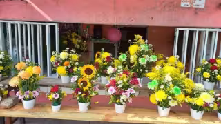 Las ventas no han repuntado como era lo esperado