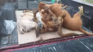 FOTO: Alejandro Colli