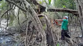 Ejidatarios prevén asamblea para poner en marcha proyecto ecoturístico en Kantunilkín