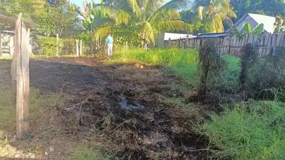 Se desconocen las causas del incendio