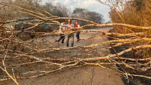 La carretera Dzitbalchén-Chencoh se encuentra obstaculizada por troncos La carretera Dzitbalchén-Chencoh se encuentra obstaculizada por troncos