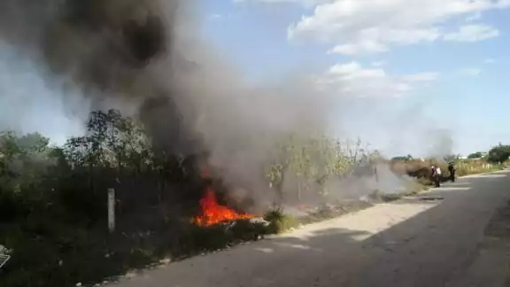 El fuego logró ser controlado antes de que empeorara El fuego logró ser controlado antes de que empeorara