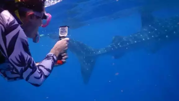 Algunos operadores de servicios acuáticos informaron que las reservaciones para los tours han aumentado Algunos operadores de servicios acuáticos informaron que las reservaciones para los tours han aumentado