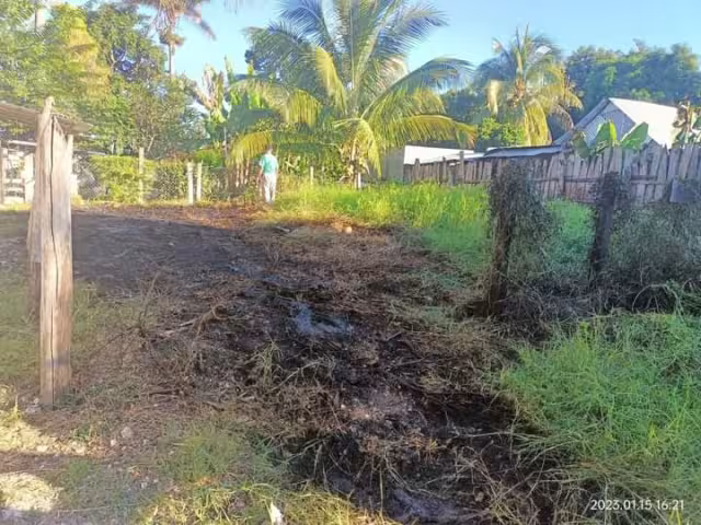 Se desconocen las causas del incendio
