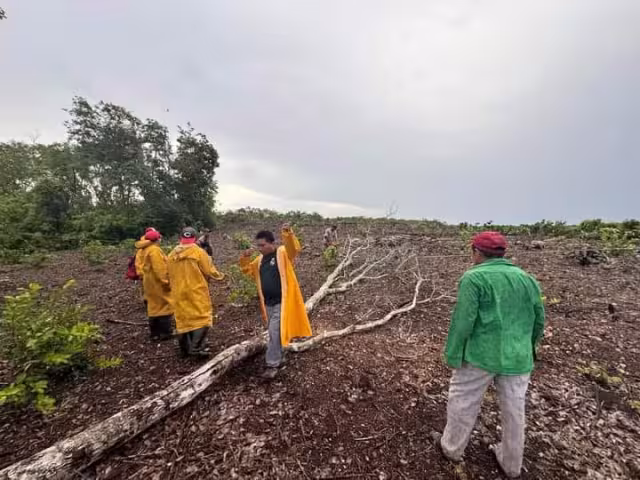 La región de La Montaña ha estado sin servicio eléctrico desde las 8 a.m. de este viernes.