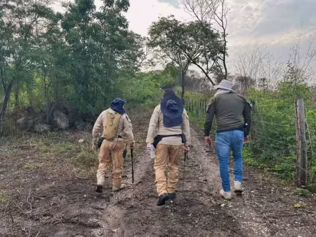 El operativo ha movilizado a las autoridades y a familias.