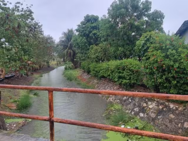 Las fuertes lluvias que han caído desde la mañana subieron el nivel del agua