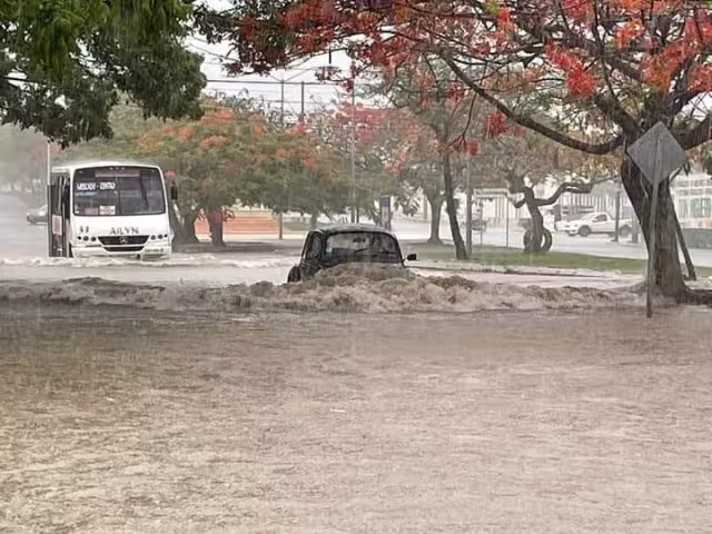 Los vehículos no pueden transitar debido a las anegaciones