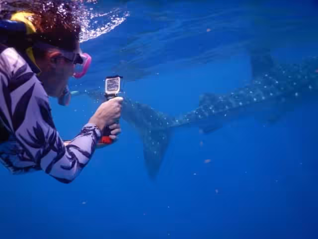 Algunos operadores de servicios acuáticos informaron que las reservaciones para los tours han aumentado