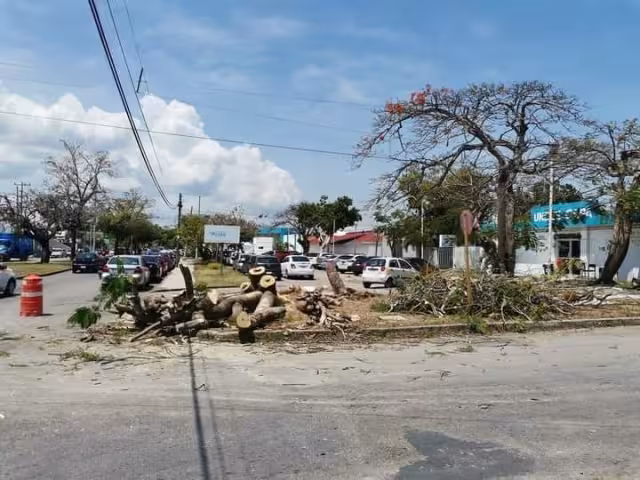 Hasta el momento no existe una postura por parte del Ayuntamiento de Othón P Blanco