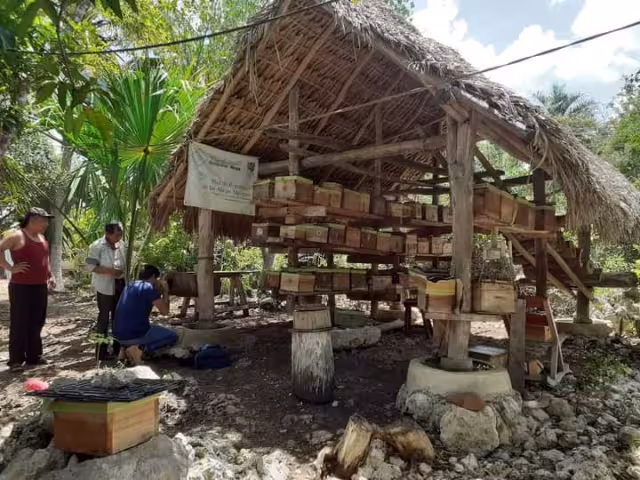 FOTO: Miguel Améndola