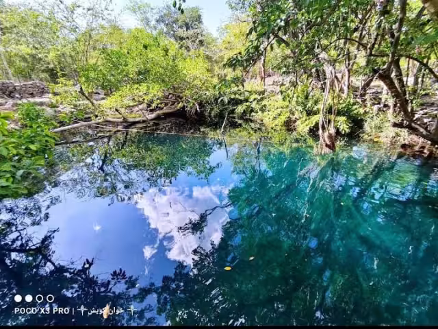 El cenote se encuentra a 13 kilómetros de Kinchil a un costado de la carretera a Celestún