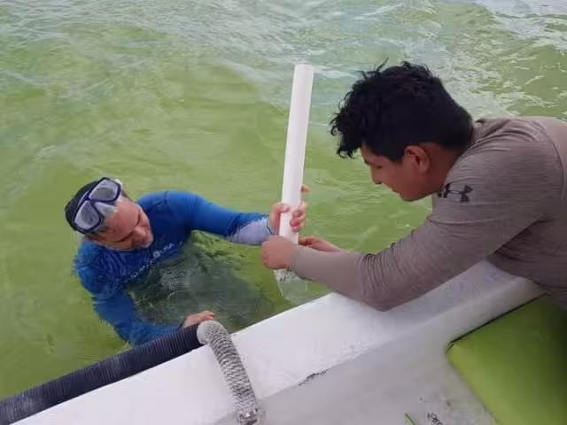 Toman muestras en la Laguna de Bacalar para conocer el daño real de la pérdida de sus colores