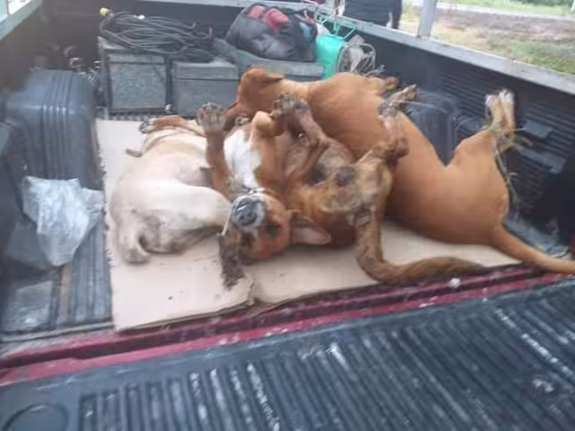 FOTO: Alejandro Colli